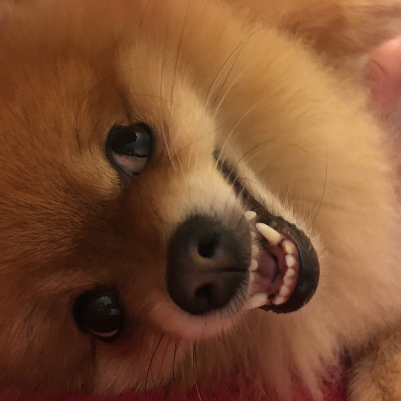 C9E9840D-22C6-4CF9-84C0-83E223BA3F5F