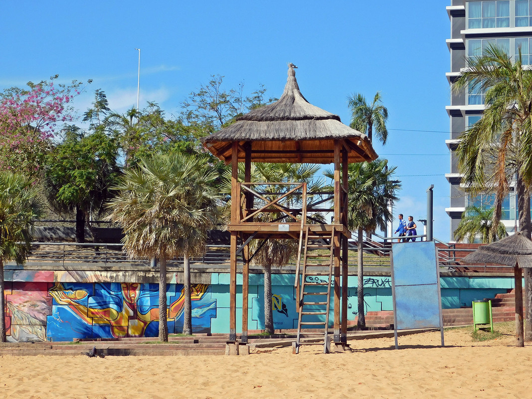DSCN0141.jpg