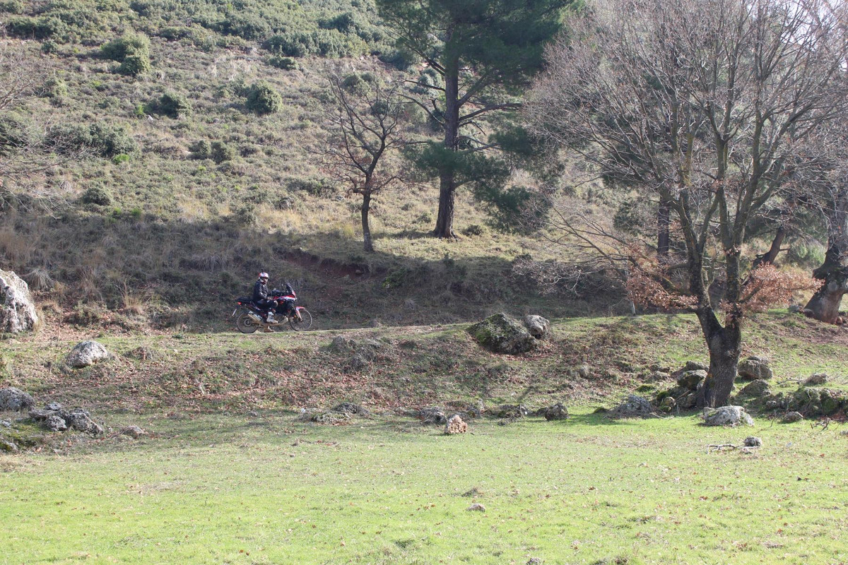 IMG-7547.jpg