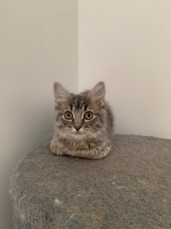 A3F173A6-380E-4166-9AAA-BBD899FD1C43