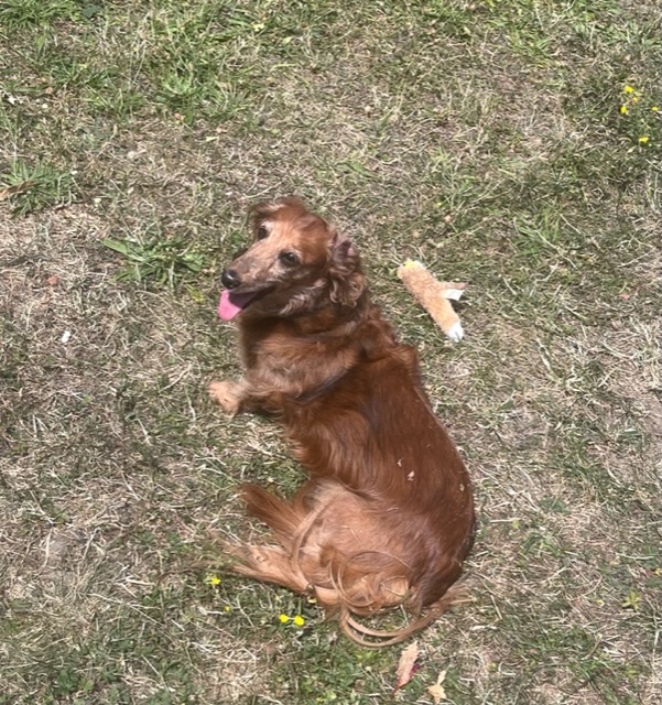 [Image: IMG-5383.jpg]