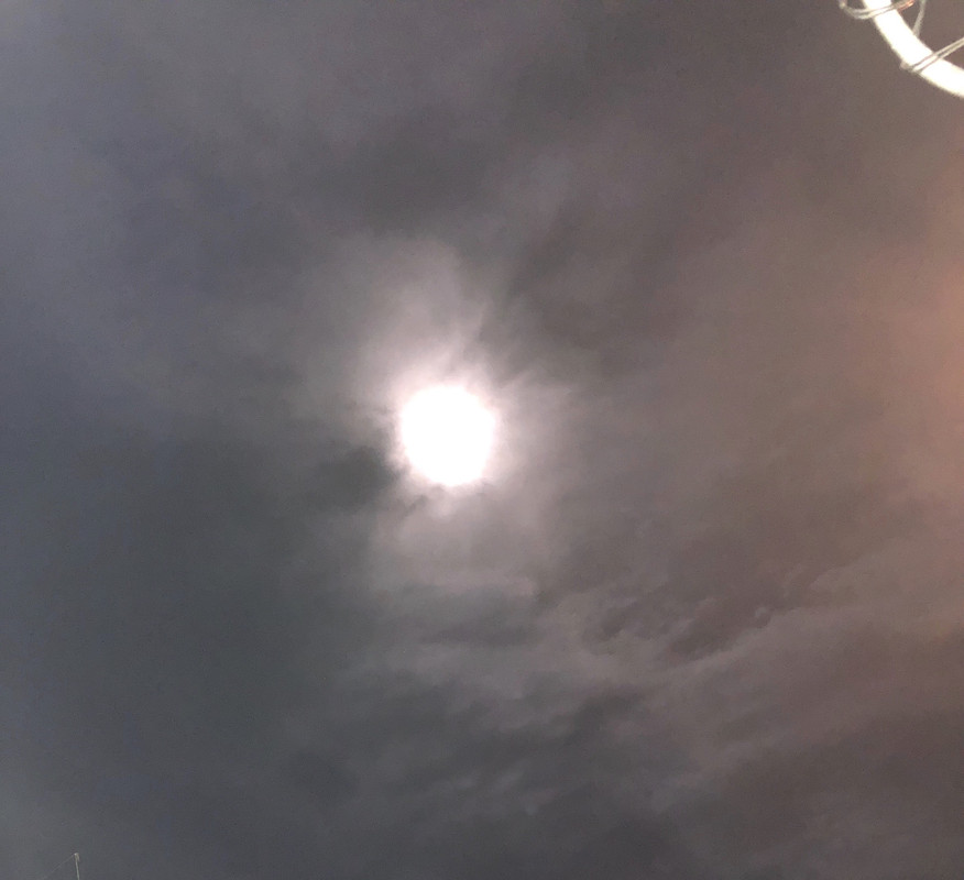 [Image: 5-B37218-D-F3-CD-483-B-972-F-0930-F5-D0-B800.jpg]