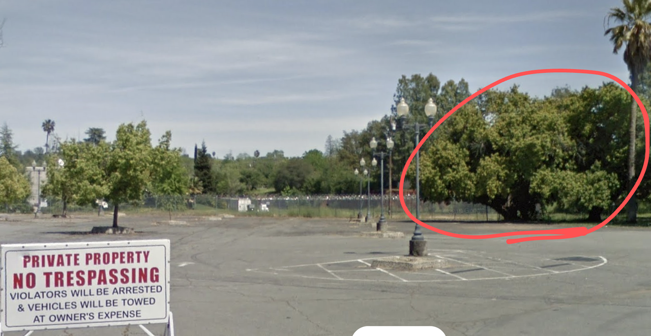 Screenshot_20210117-000115~2