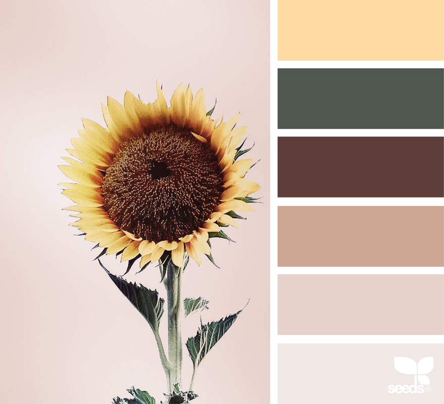 KCcolours1