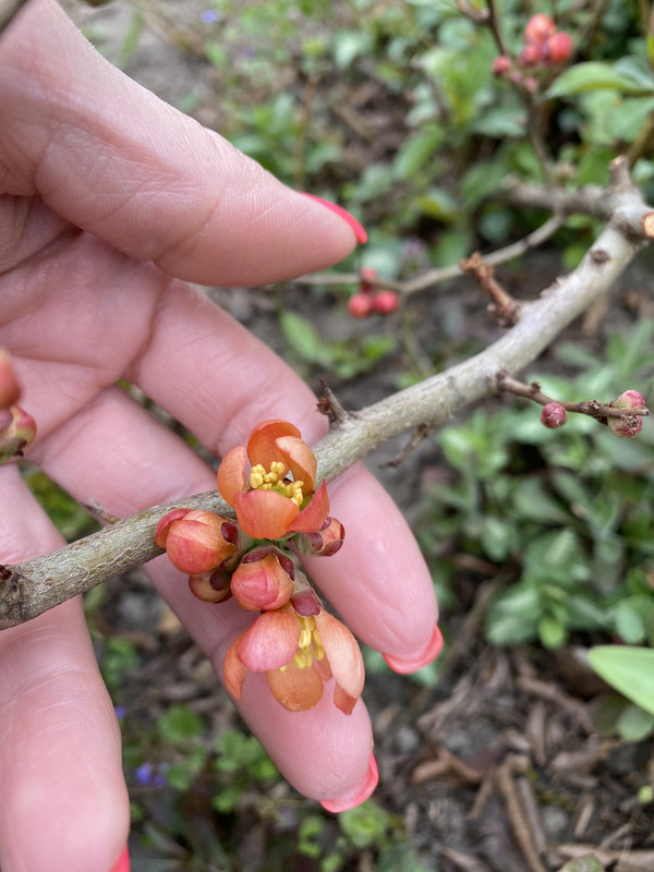 C20B493F-A80A-4E72-BB6D-79EEEFCDC49B