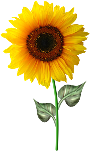 TADD_elements_ShimmerFall (23)