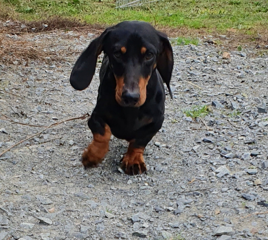 [Image: 20221005-062834.jpg]