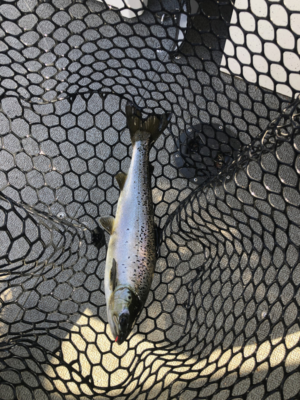 AE530360-F5D6-4C85-AF57-10B1A4F82037