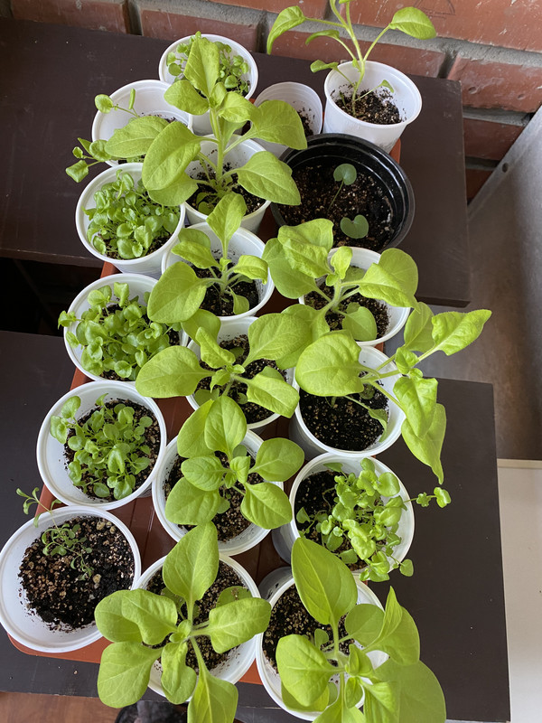 D2D1ED7D-7B3C-4D4E-BE0E-9DD305428345