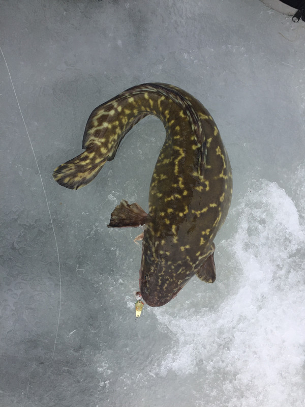 DEF07C01-B7EF-4F35-8569-23E9393CD50D