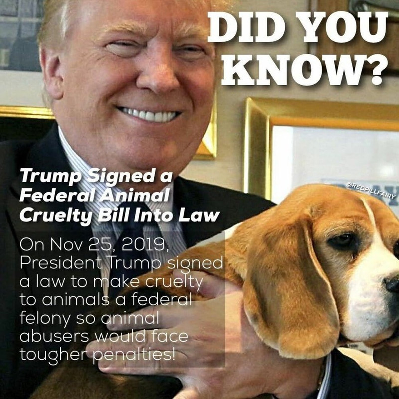 AA8B0D46-5311-4963-B774-E225CF16D82C_1_105_c