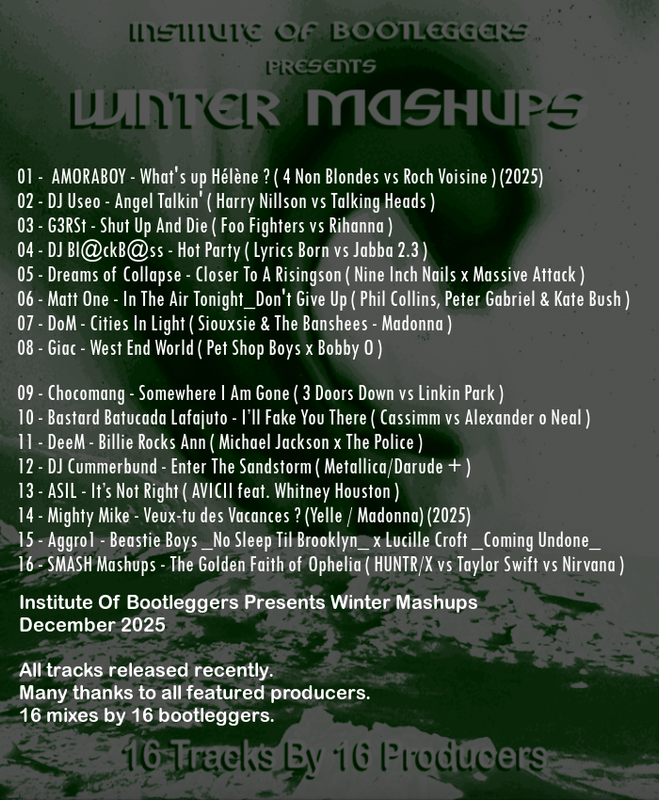 Institute-Of-Bootleggers-Presents-Winter-Mashups-back.png