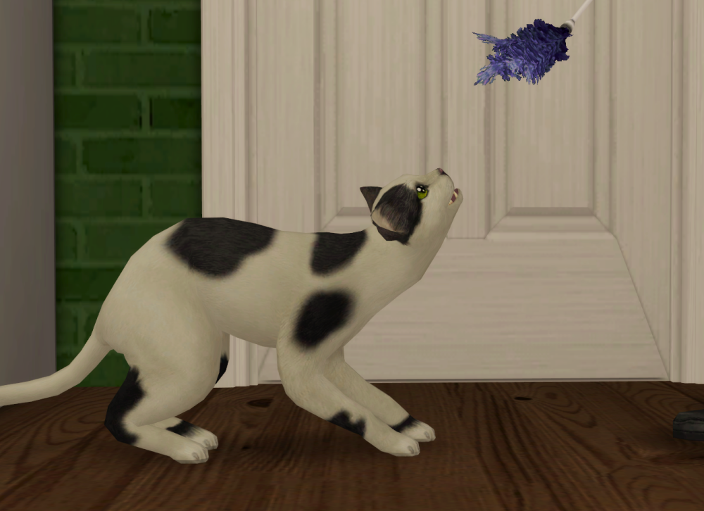 Sims2-EP9-RPC-2022-03-27-21-46-01-95
