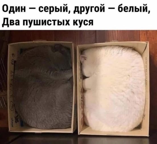 dd608373709a477b35de3a80181f6eff