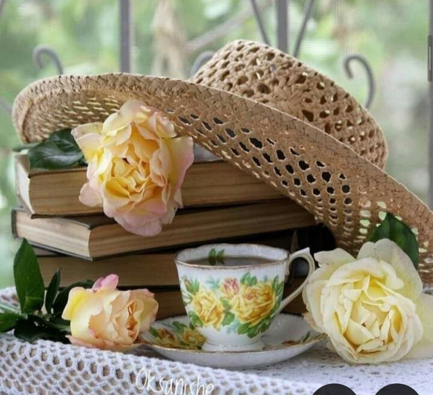 Screenshot_20240715_141613_Pinterest