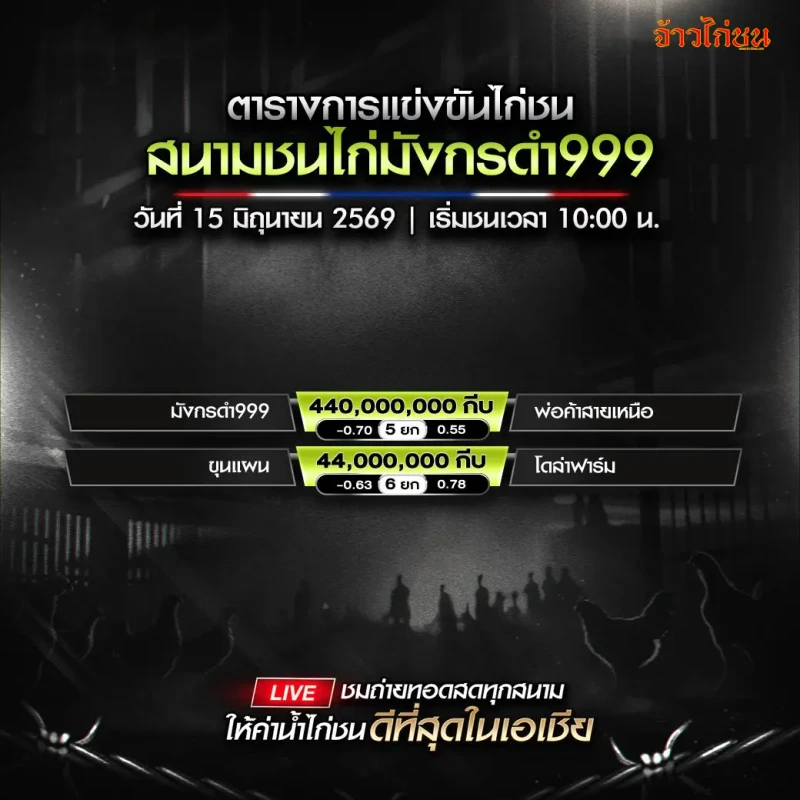 โปรแกรมไก่ชน สนามชนไก่มังกรดำ999 สปป.ลาว 15 มิถุนายน 2026 รูปโปรแกรมหลัก