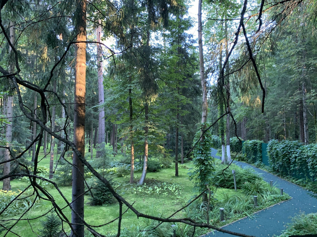 EDA7C81F-CFF3-4014-A38E-F2ED8F56627E