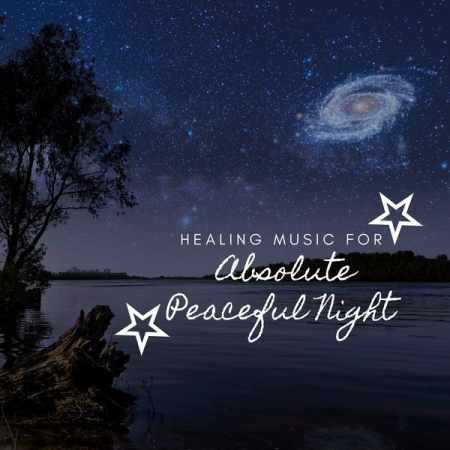 Various Artists - Healing Music for Absolute Peaceful Night (2020)