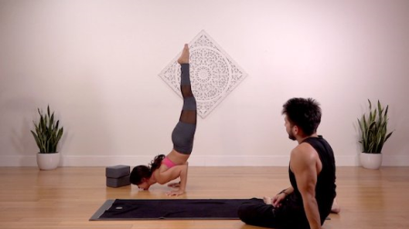 The Collective Yoga   Chin Stand flow