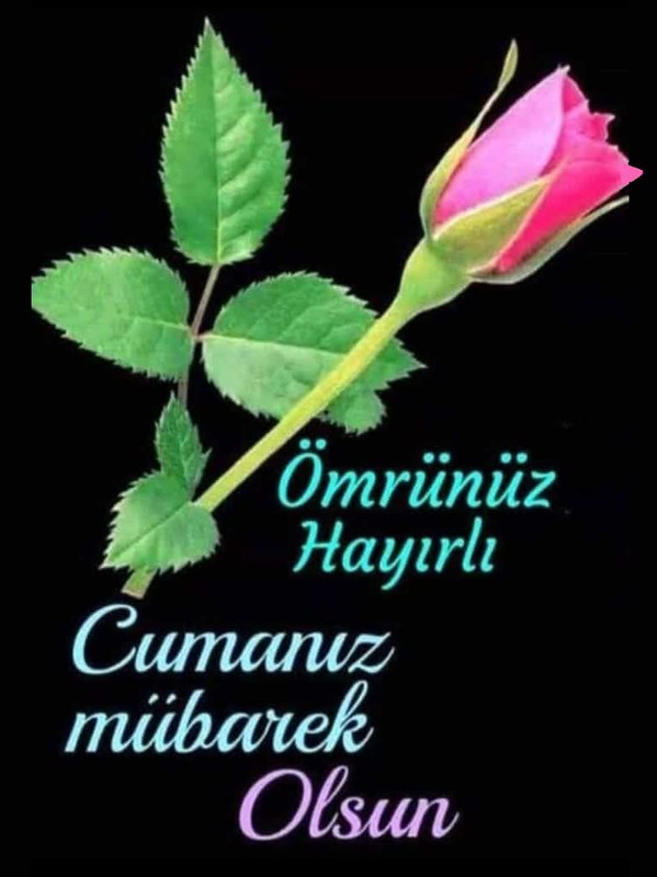 Whats App Image 2026 05 07 at 19 29 41