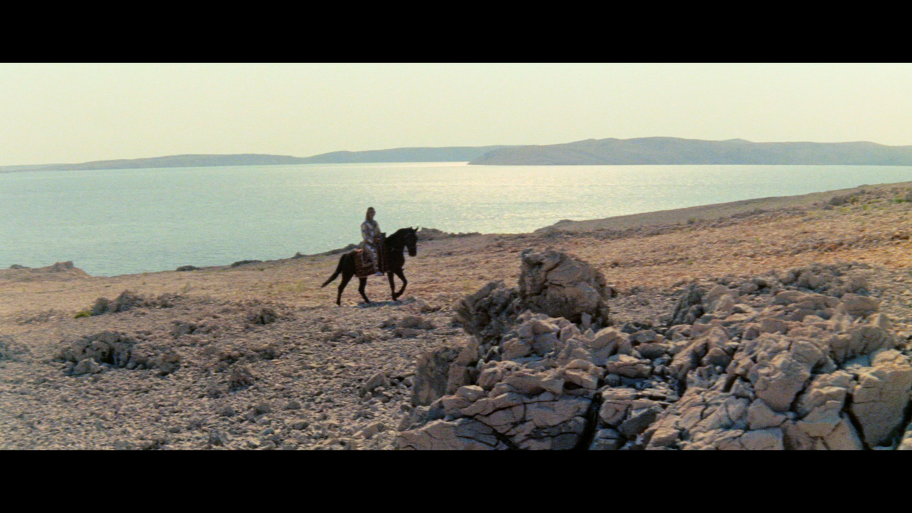 00003.mpls_snapshot_00.01.10_[2024.12.19_16.10.55]