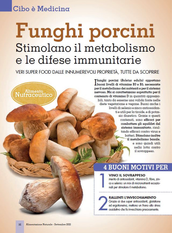 Alim Nat Set 2022 (11)