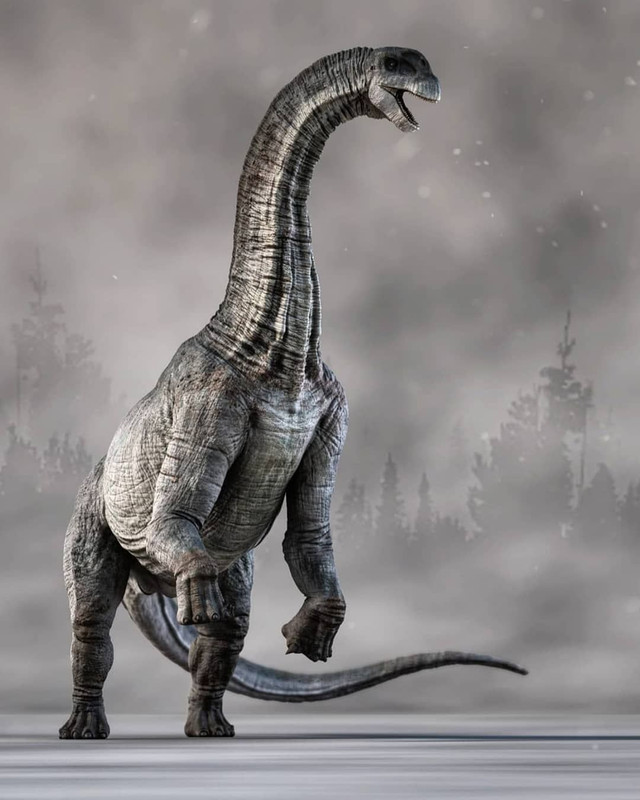 89256f04b41530ff8066d4a6e2095a09