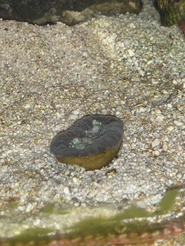 F1AD077D-0B05-4D36-AF32-C72C9E0239EB