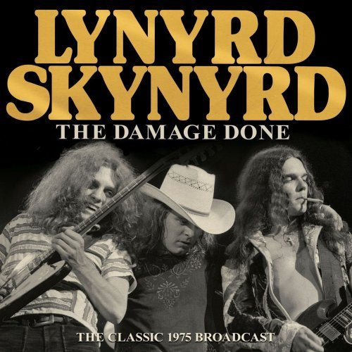 Lynyrd Skynyrd   The Damage Done (2021)