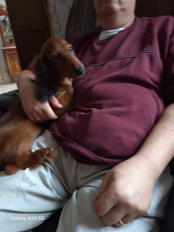 [Image: 20241025-143005.jpg]