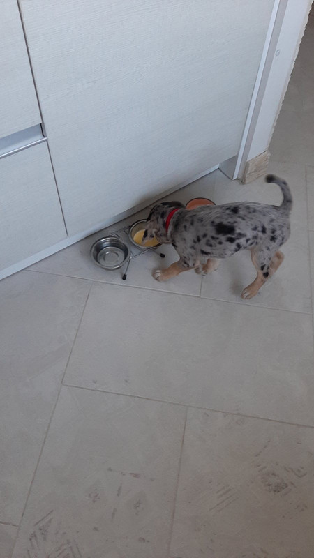 4327A238-3C2E-42A7-972C-66F444F3E461