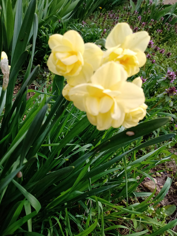 IMG_20230416_120032994