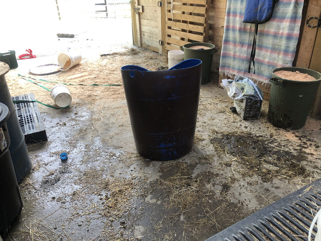 A67E797C-6034-4A99-8FF6-6CD68DD48004