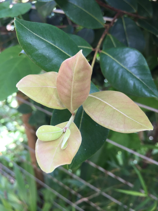 15C26168-71D1-4888-A69C-349519CAE501