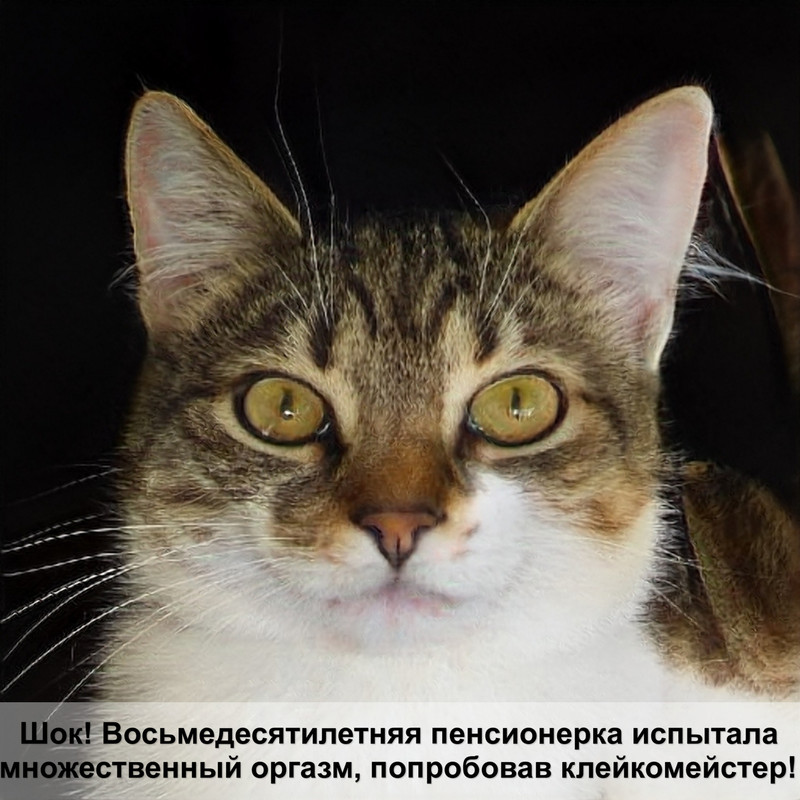 кошка часто блюет шерстью