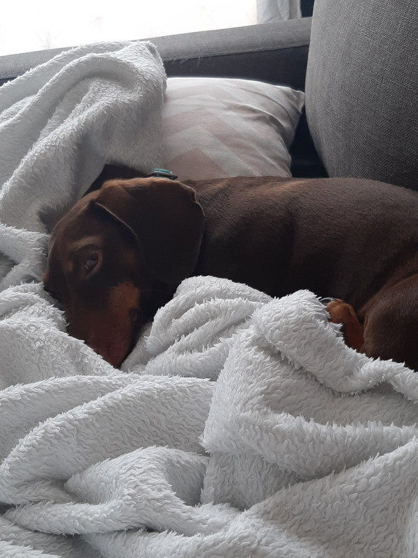 [Image: 20200823-191203.jpg]