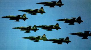 [Image: chien-dau-co-f-5-cua-kgong-quan-vnch-phi-dien.jpg]