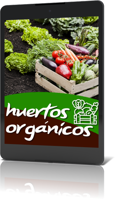Curso en iPad