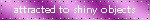 attracted to shiny objects blinkie