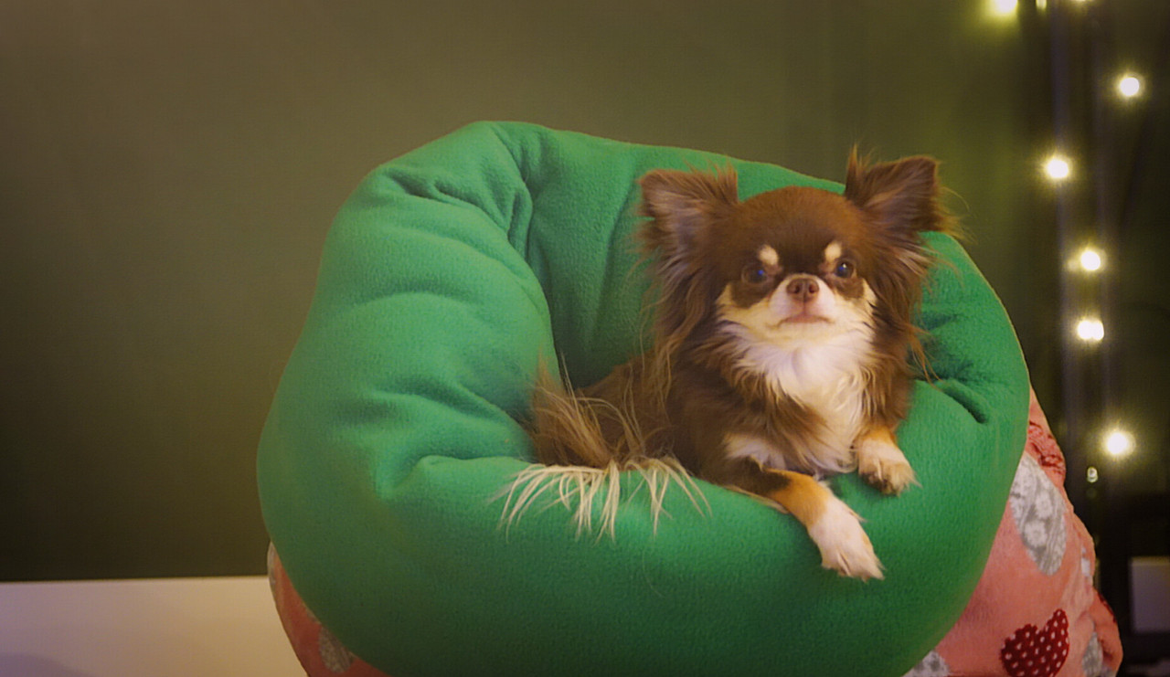 Lumii_20210124_181432797