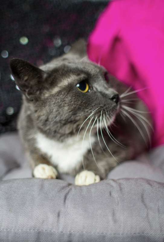 6D1220E7-F52D-4AA4-B72C-E9CD17FF5DAD