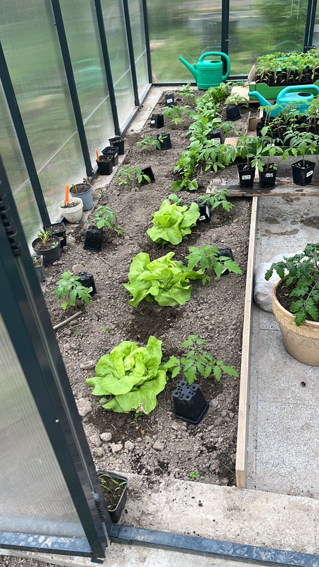 A30A1D0A-673B-4A69-9B59-5478726A775D