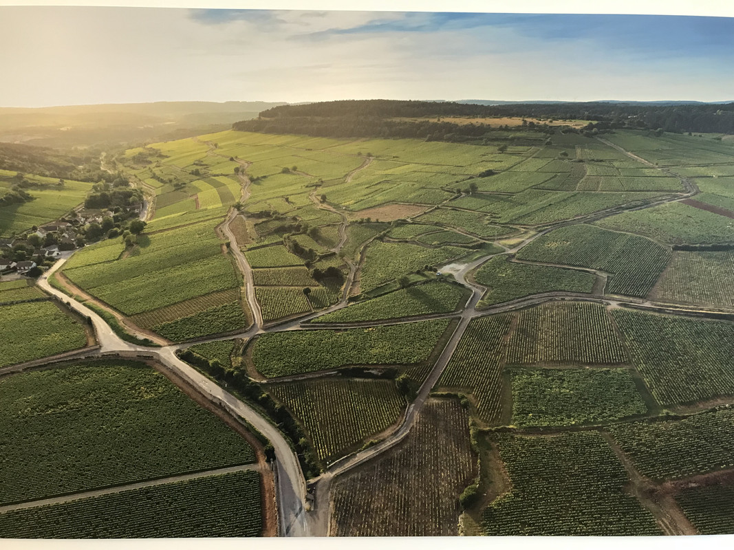 F2A66025-6BB7-46DD-BB59-986312B57503