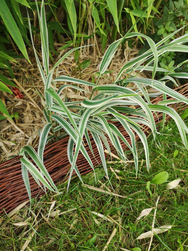 2021-07-31T11_06_01 02_00