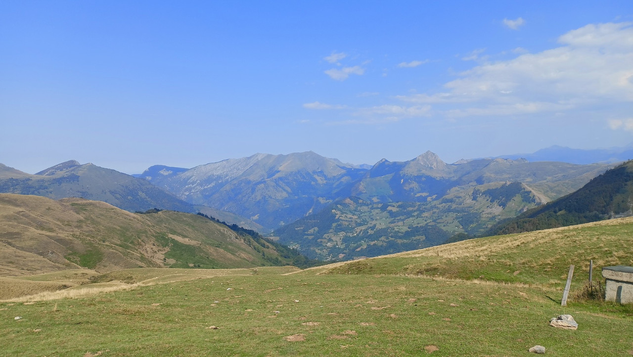 IMG20250824165017 (Large)