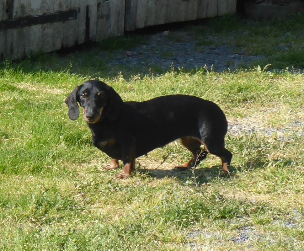 [Image: P1030065.jpg]