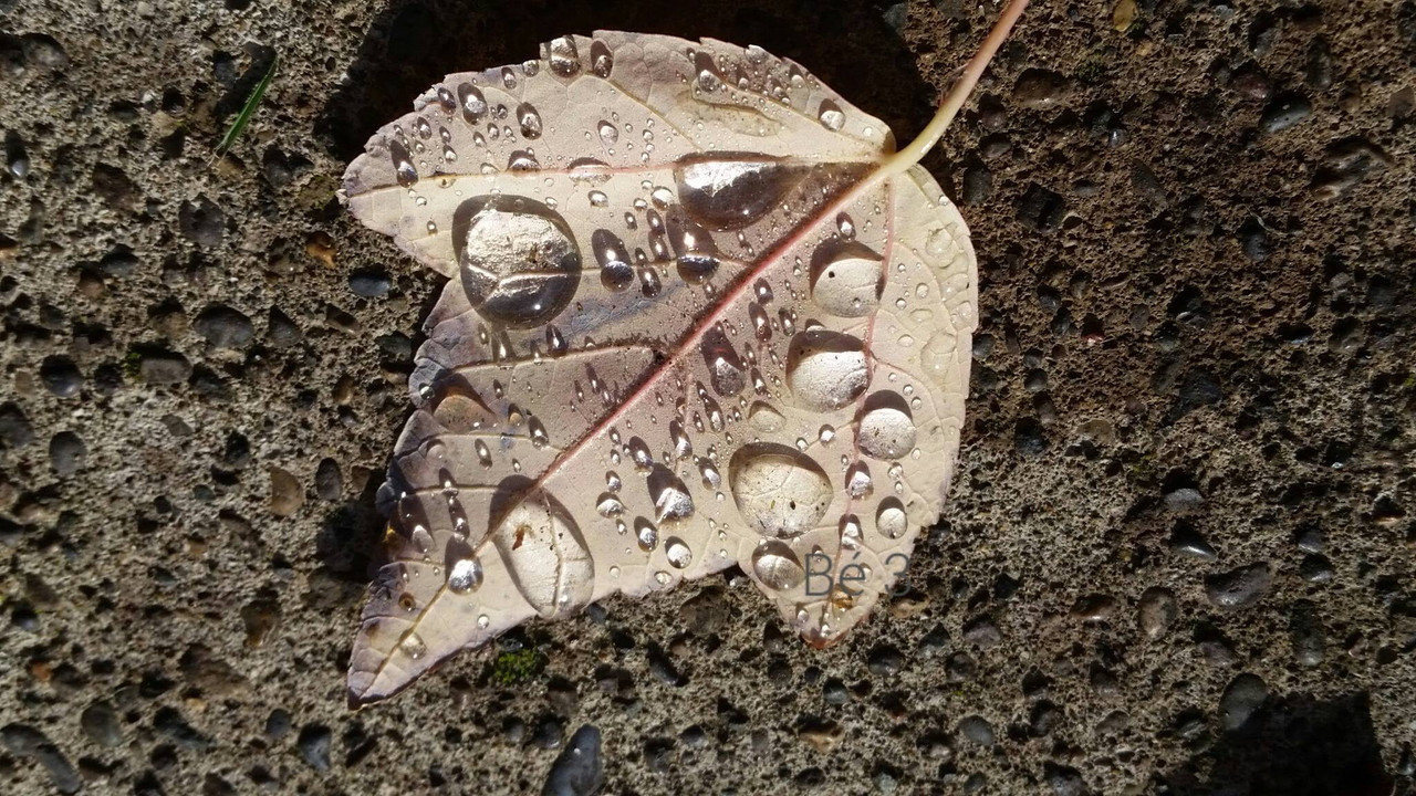 [Image: 32130420-2337121612969964-5956063257985810432-o.jpg]