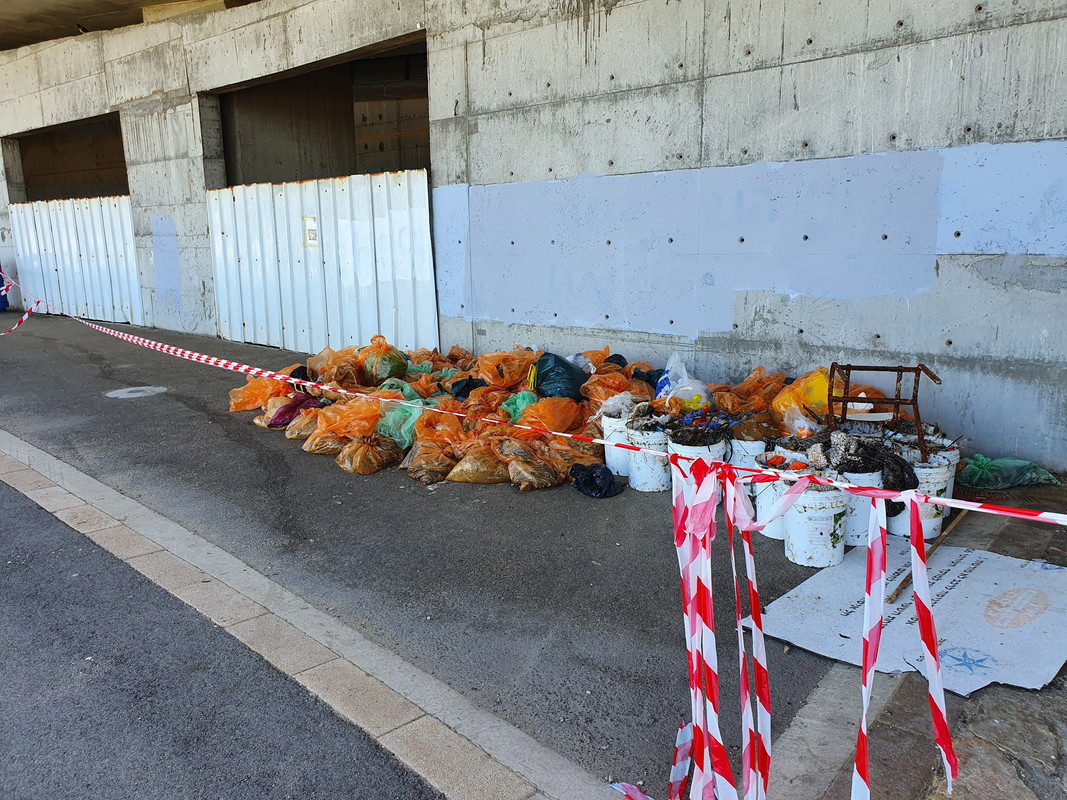 Собранный мазут возле хайфского пляжа Бат галим