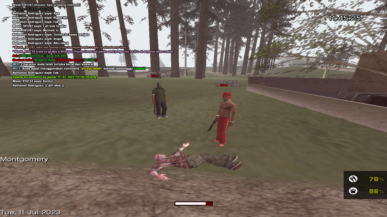 samp-11-07-2023-11-44-14.png