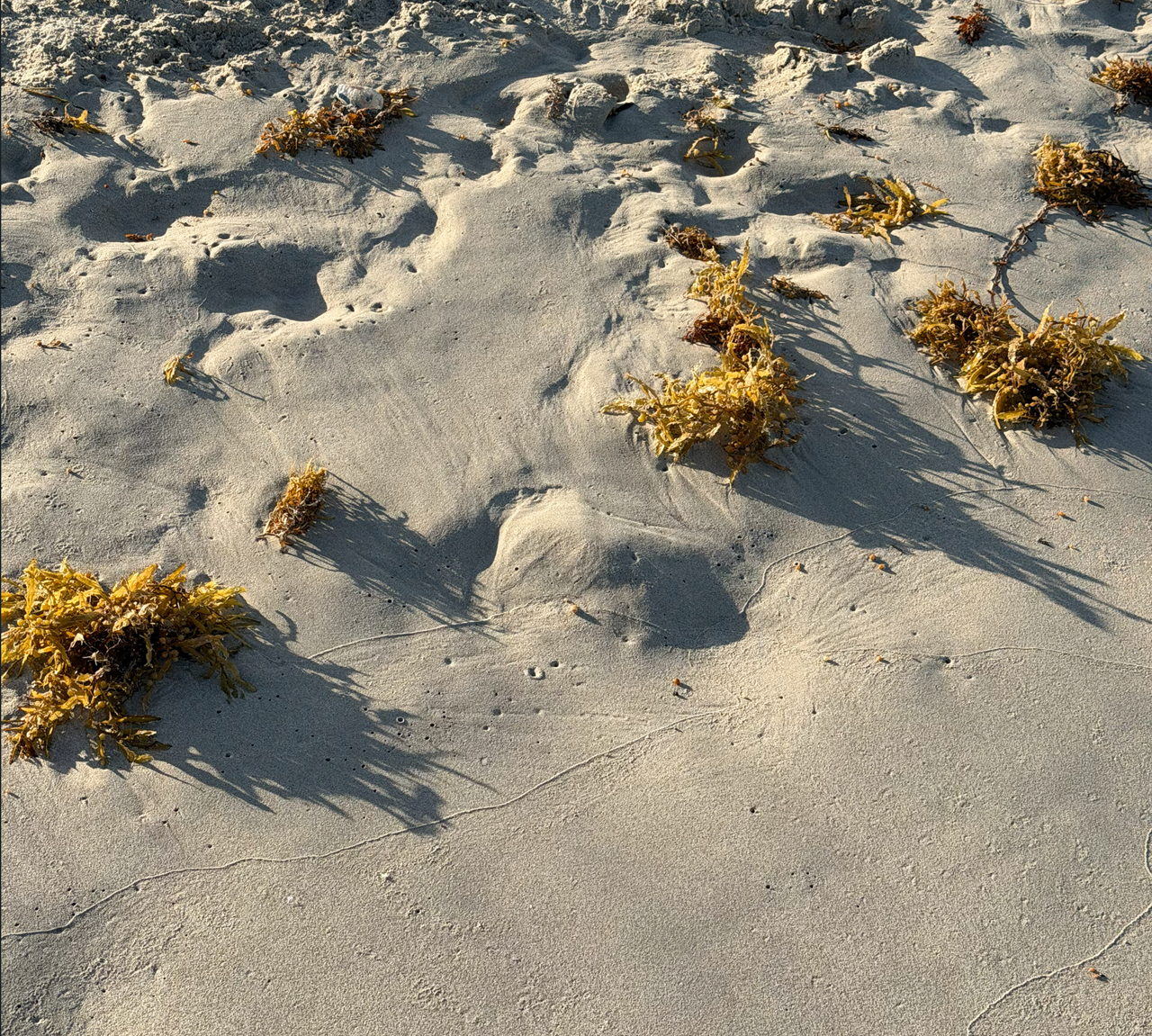 [Image: Miami-South-Point-Park1.png]